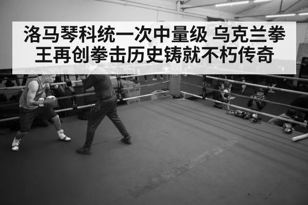 boxer training gym
